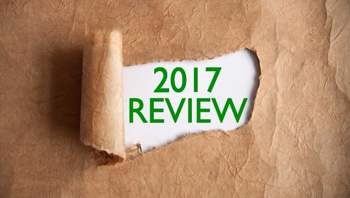 2017 green policy review: A year of progress and pleasant surprises